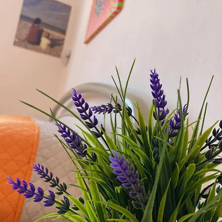 Casa Blu Di Pomposa Vista Mare ليدو دي بومبوسا