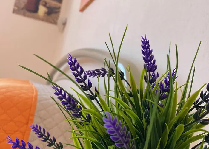 Casa Blu Di Pomposa Vista Mare Lido di Pomposa